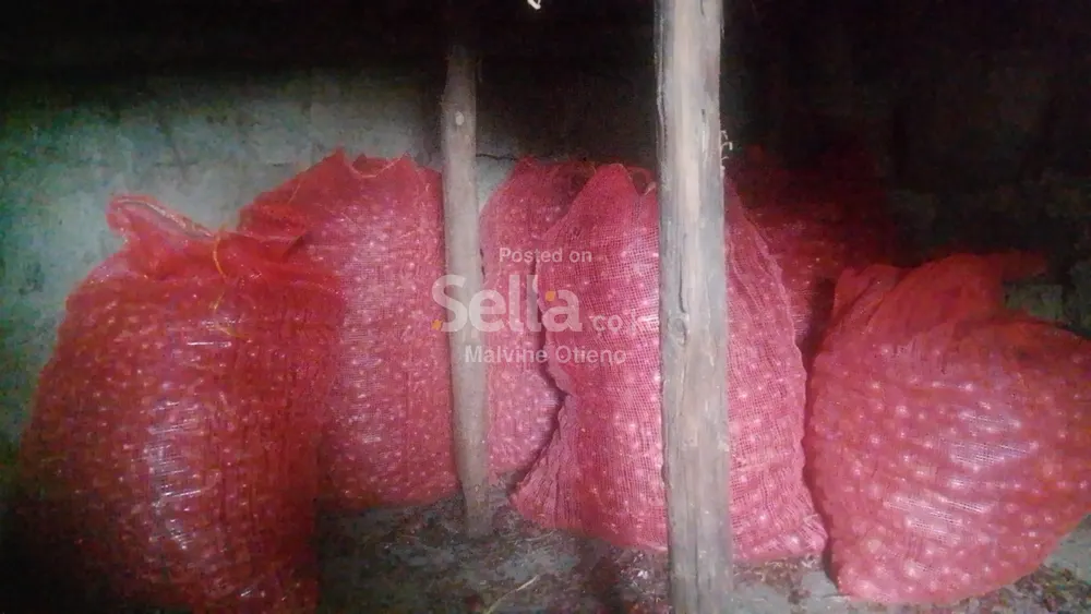 Red onions 