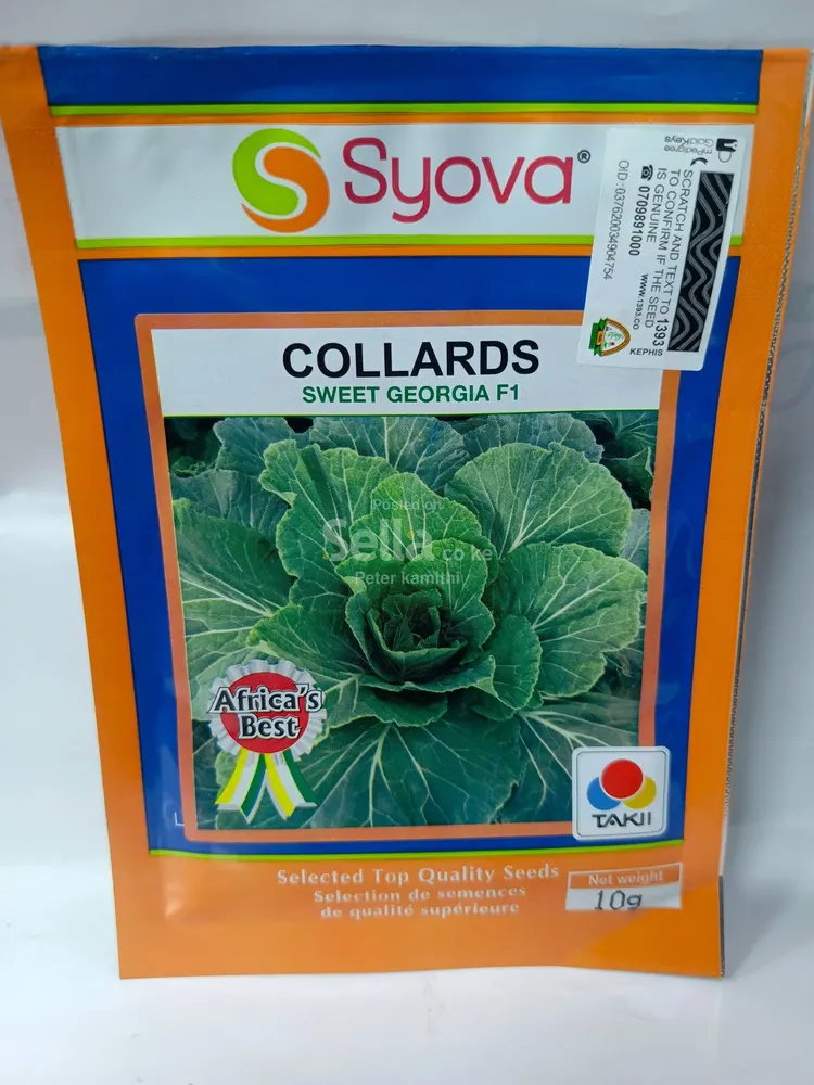 Sweet Georgia f1 10g  sukuma seeds 