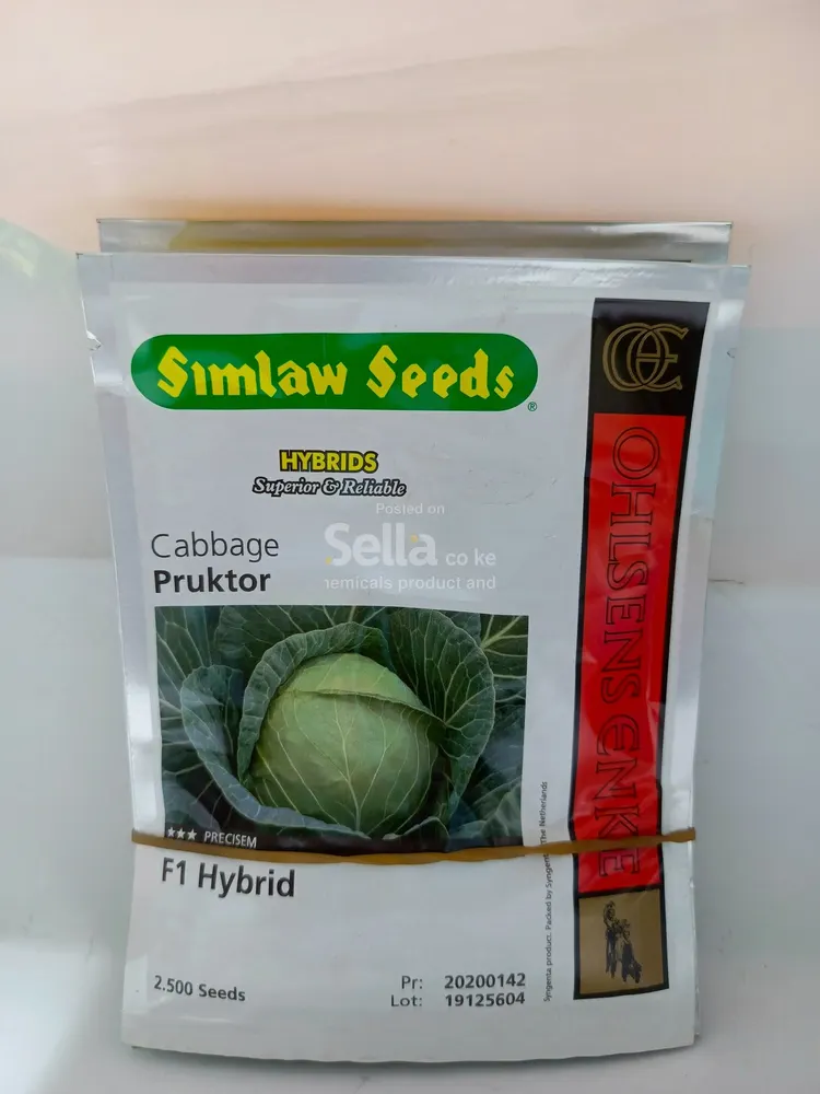 Pruktor f1 10g (2500 sd) cabbage seeds 