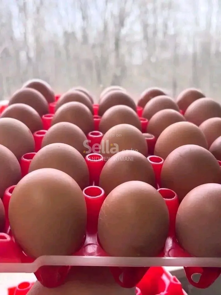 Kalro farm eggs