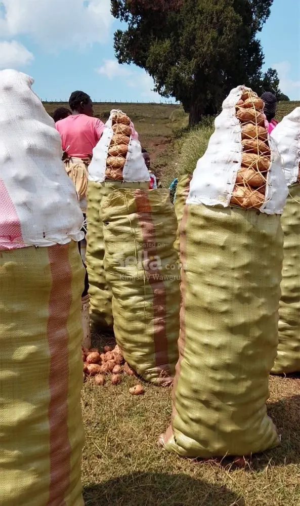 Kings potatoes 