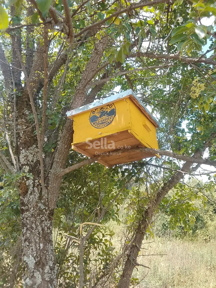 bee hieves on sell & instalation
