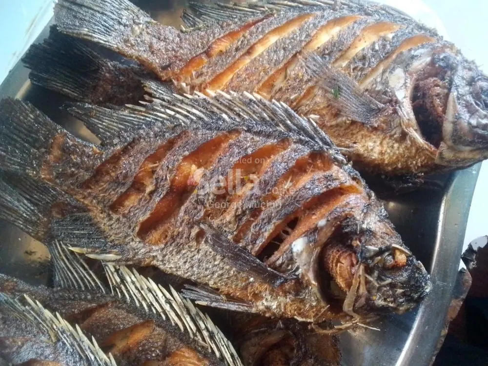 Fresh Raw and Cooked Fish Fillets, Tilapia, Fish head 