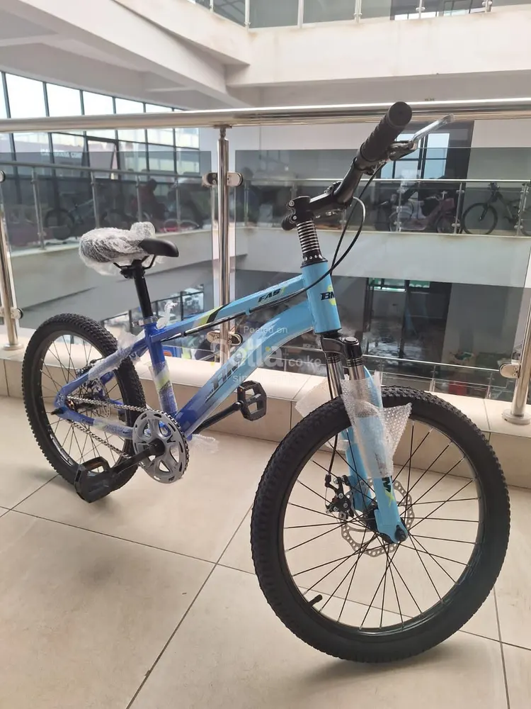 Bike size 20