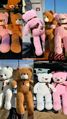 GIANT TEDDY BEARS 🧸💕