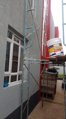 RUFF &TUFF PAINTS WALLMASTER