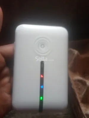 Pocket wifi 