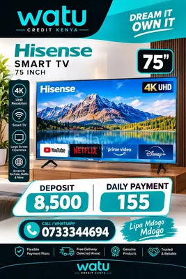 Hisense 75 inch smart tv 