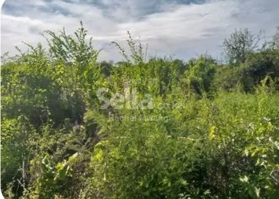 10 acre land in kitui mwingi