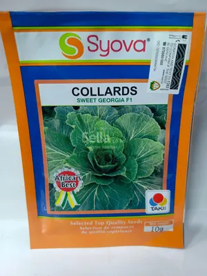 Sweet Georgia f1 10g  sukuma seeds 