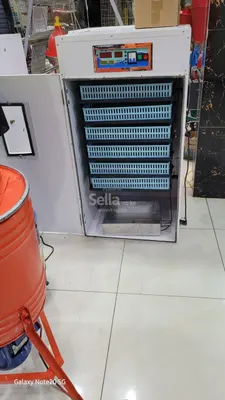 528-Eggs incubator 