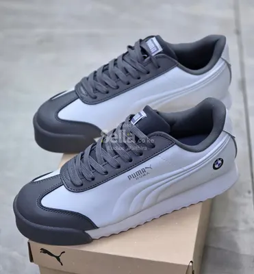 Puma 