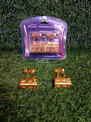 Battery terminals 