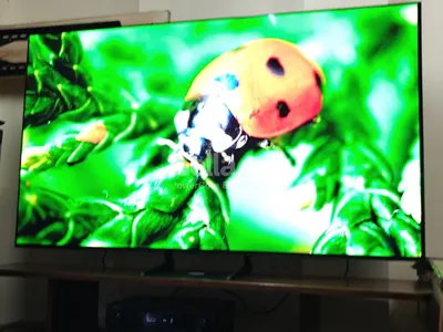 Samsung s90c 77ich Class OLED 4K Series Quantum HDR, Dolby Atmos Object Ultra(original from S Korea)