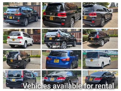 Cars available for hire 